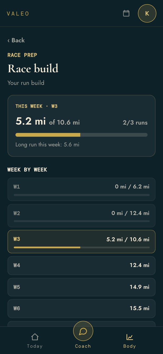 A race build week by week, with miles logged against the plan